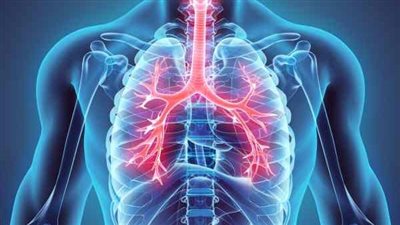 أبرزها الفلفل والتفاح.. أطعمة تعزز صحة الرئتين