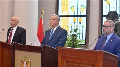 حنفي جبالي: مصر تدعم جهود إنهاء الأزمة الليبية.. ونتائج قريبة للقاء المثمر بين عقيلة صالح والمشري 