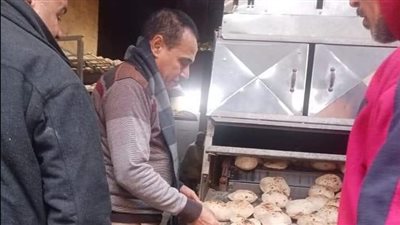 تحرير 23 مخالفة تموينية وضبط كميات من الدقيق المدعم بهدف الاحتكار في دير مواس بالمنيا