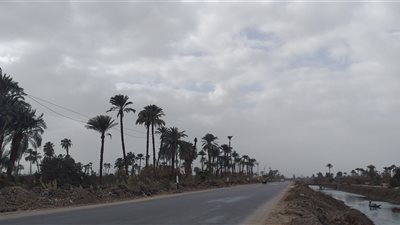 سحب ضبابية كثيفة وموجة من الصقيع على المناطق الزراعية.. تعرف على طقس اليوم بسوهاج| صور