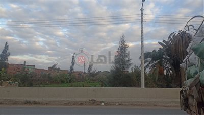 الطقس في بني سويف.. شبوة مائية صباحًا وشديد البرودة ليلًا والصغرى 8 درجات