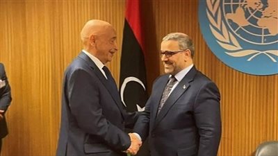 المشري يكشف عن شكل السلطتين التنفيذية والتشريعية في ليبيا بعد التوافق مع البرلمان