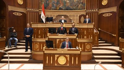 النائب أحمد أبو هشيمة: فارق كبير بين الاقتصاد غير الرسمي واقتصاد الجريمة 