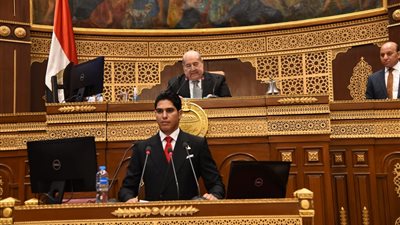 خلال مناقشة دراسته بـ مجلس الشيوخ.. أبو هشيمة يطالب بإطلاق استراتيجية وطنية للاقتصاد غير الرسمي 