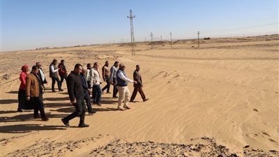 بطول 5 كيلومتر.. إنشاء مضمار للهجن في الوادي الجديد 