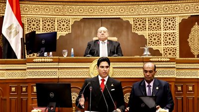 أحمد أبو هشيمة: أتمنى أن تستفيد الحكومة من دراسة الشباب وسوق العمل غير الرسمي