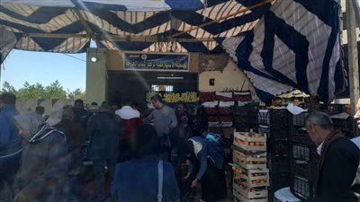 بسبب الأسعار المخفضة.. إقبال كبير على منفذ مركز شباب الخارجة بالوادي الجديد