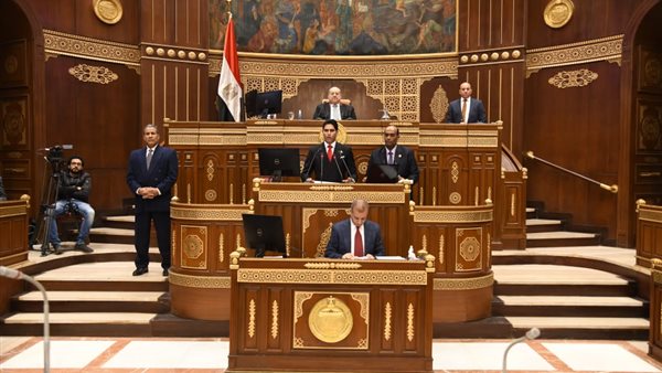  النائب أحمد أبوهشيمة،