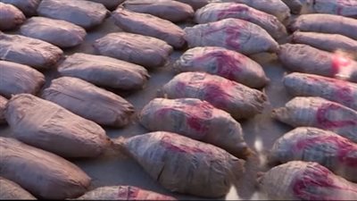 خلال أسبوع.. الداخلية تضبط 575 عنصرًا خطرًا و2426 تاجر مخدرات | فيديو