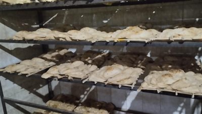 تحرير 48 محضرًا لمخابز بلدية مخالفة بالقليوبية 