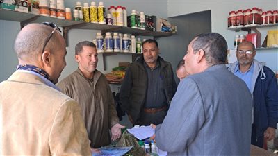 ضبط 545 قرص غلة معدة للبيع بقرية الغرق في الفيوم