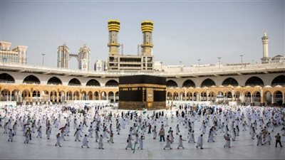 غرفة شركات السياحة تطالب بتخصيص تأشيرتين حج لكل شركة خارج القرعة لكبار السن 