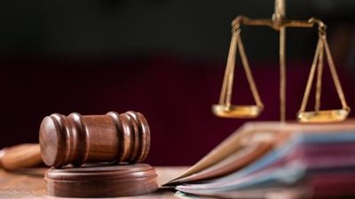 المحكمة تستمع للمدعين بالحق المدني في مقتل سيدة بورسعيد على يد ابنتها وعشيقها