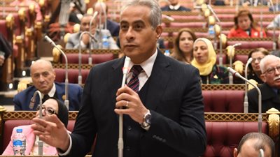 وزير القوى العاملة: تعيين 226 ألف شاب خلال 2022.. وزيادة معدلات التشغيل بالمناطق الفقيرة