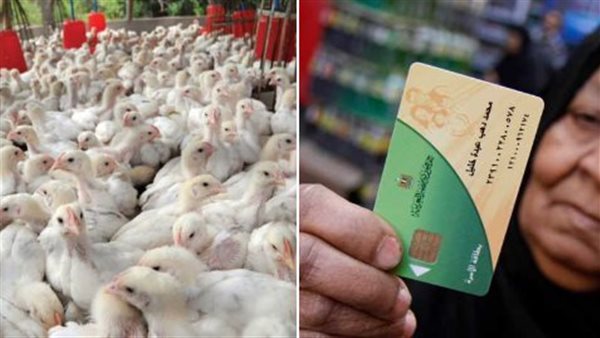 البطاقة التموينية