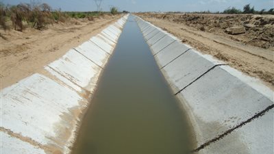 الزراعة: مشروع الاستثمارات الزراعية المستدامة يؤهل 36 ألف متر مساقي في كفر الشيخ 