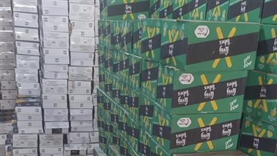 ضبط 12 ألف عبوة شيبسي وشيكولاتة منتهية الصلاحية بالغربية