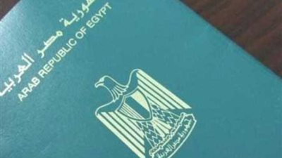 مجلس الدولة يوقف دعوى سامر نظير بإسقاط الجنسية لانضمامه لهيئة معادية لحين فصل الدستورية