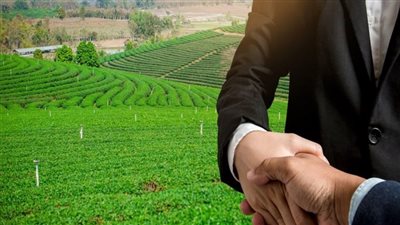 اليونان تناقش تفاصيل اتفاقية تشغيل العمالة الموسمية في القطاع الزراعي مع مصر