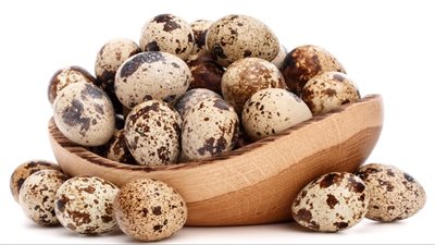 استشاري تغذية علاجية توضح الكميات المناسبة لتناول بيض السمان