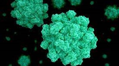 الصحة البريطانية: الإصابات بنوروفيروس ارتفعت لـ 66% هذا العام