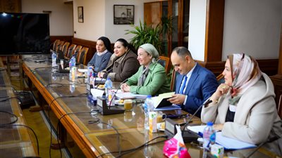 وزيرا البيئة والري يبحثان مجهودات حماية الشواطئ ووضع منظومة متكاملة لإدارة المناطق الساحلية 