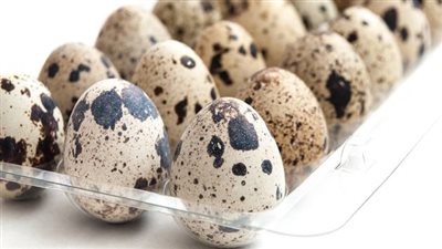 استشاري تغذية علاجية توضح الطريقة الصحيحة لحفظ بيض السمان 