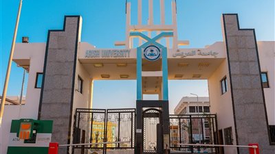 جامعة العريش تُصدر قرارًا بترقية 214 موظفًا بالمستويات الوظيفية المختلفة