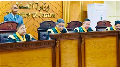 المحكمة تستمع لشهادة عضو الرقابة الإدارية ورئيس مباحث الأموال العامة في قضية تزوير أراضي السادات