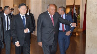 شكري يستقبل وزير الخارجية الصيني لعقد جلسة مباحثات ثنائية│ صور