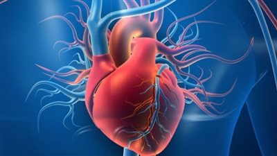 تغير لون الجلد والإرهاق المستمر.. علامات تحذيرية تدل على مشاكل في الدورة الدموية