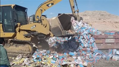 إعدام 8 آلاف و259 كرتونة مواد غذائية غير صالحة للاستهلاك بأسيوط