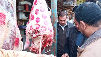 ضبط 900 كيلو أسماك ولحوم وكبدة مجمدة فاسدة بالبحيرة