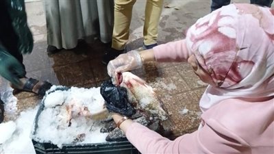حماية المستهلك يضبط 4.5 طن من الأسماك غير صالحة للاستهلاك.. والتموين تحرر 251 مخالفة متنوعة