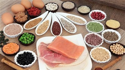 أبرزها الفول والبسلة.. تعرف على فوائد البروتينات البديلة