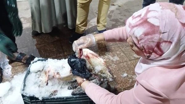 جانب من الحملة