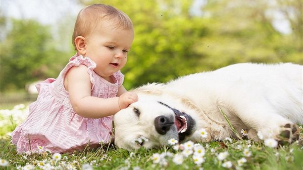 الأطفال والكلاب