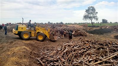 إزالة 135 مكمورة فحم مخالفة أقيمت على مساحة 16300 متر بالدقهلية │ صور