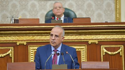 نواب يطالبون بتبطين وتأهيل الترع وإزالة الغرامات على زراعة الأرز