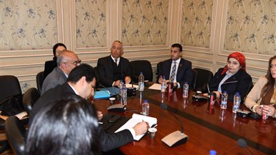 خارجية النواب: مصر شعبا وحكومة ترفض أي تدخلات دولية في الشأن الليبي