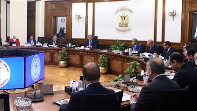 نقل أسهم النصر للتصدير والاستيراد من قطاع الأعمال إلى وزارة الصناعة