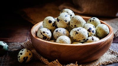 استشاري تغذية علاجية توضح الطرق الصحية لتناول بيض السمان