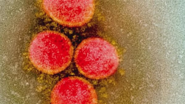 المتغير الجديد 