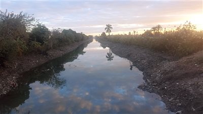 غرق أب ونجله خلال عملهما في صيد السمك داخل ترعة ببني سويف 