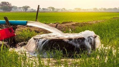 معلومات الوزراء: 53% من النظم البيئية عالميا تعتمد على المياه الجوفية