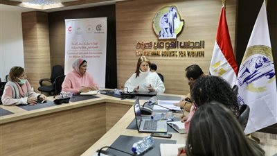 القومي للمرأة يعقد اجتماعًا لوضع خطة تدريب لطلبة الجامعات والمعاهد السياحية