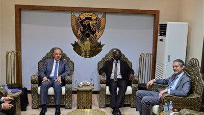 وزير الري لنظيره السوداني: الهيئة المشتركة لإدارة مياه النيل تعمل بكفاءة منذ عام 1960