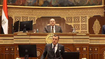 وزير السياحة لـ نواب الشيوخ: 272 مليون سائح يرغبون في المنتج المصري