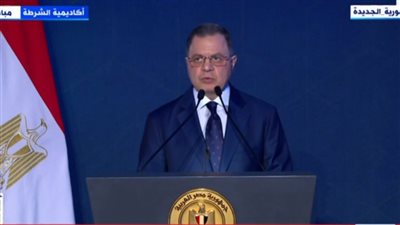 مع الاحتفاظ بالمصرية.. وزير الداخلية يوافق على السماح لـ84 مواطنا بالحصول على جنسيات أجنبية| أسماء