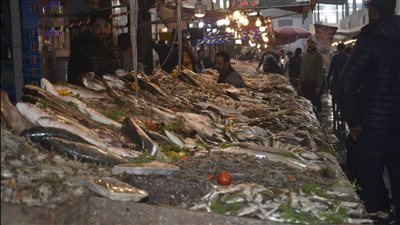 أسعار الأسماك اليوم الثلاثاء 28 فبراير 2023 في الأسواق 